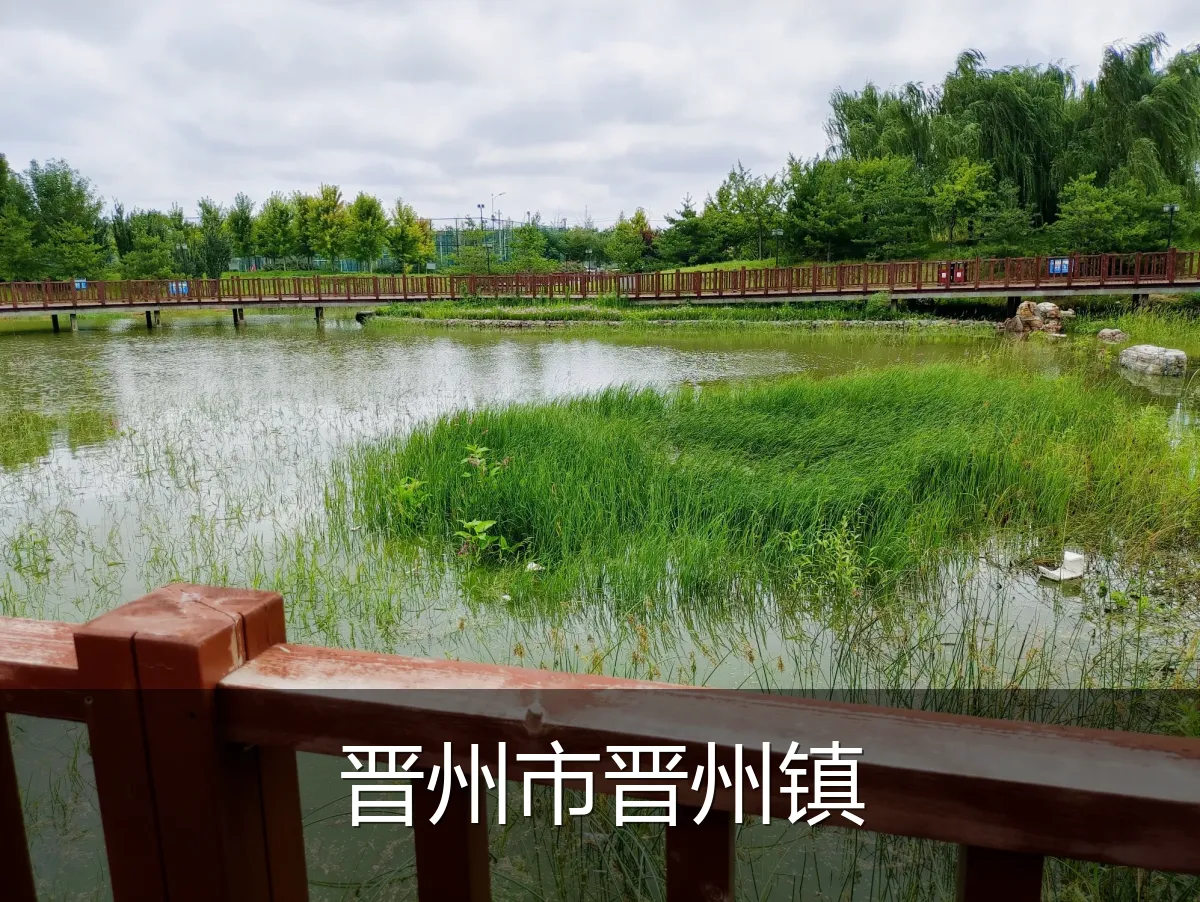 晋州市晋州镇