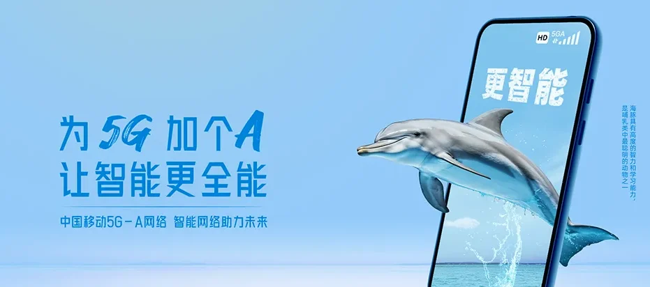晋州市晋州市槐树镇 移动宽带